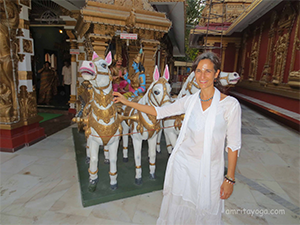 amritayoga.com_Yoga Talks_Amma Changed My Life-Amrita Yoga Retreats, Amritapuri, India