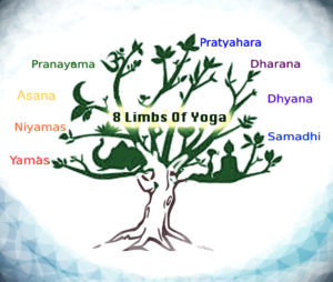amritayoga.com_Yoga Talks_Ashtanga Yoga-The Eight Limbs of Yoga